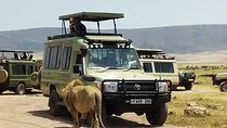 Ngorongoro Crater Day Trip from Arusha