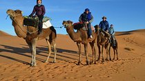 Private 2 Days Tour from Marrakech to Zagora Desert + Camel trekking & Camp