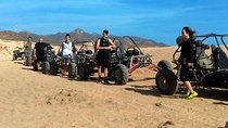 Cabo Dune Buggy- The Off Road Adventure
