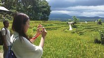Explore The Original of Bali Nature with Kastala Trekking Including Lunch