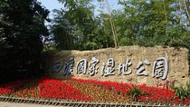 Hangzhou Private Ecological Day Tour including Xixi National Wetland Park