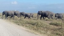 3 Days Camping Safari in Amboseli National Park, Kenya