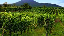 Pompei-herculaneum & Wine Tasting