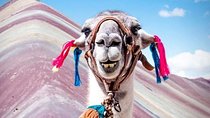 Rainbow Mountain - Vinicunca (Day Trip)