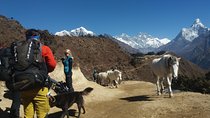 Everest Base Camp Trek