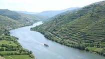 Douro Experience