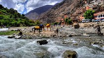 Group shared day tour to Ourika valley & Atlas Mountains