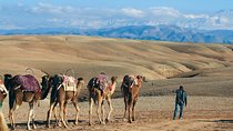 Desert Agafay & Atlas Mountains & Waterfalls, Camel ride Day Trip From Marrakech