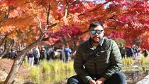 Make Your Trip Around Nami Island With an Expert(DSLR option) 