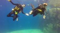 Beginner Scuba Diving in Cabo San Lucas