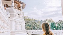 Private Day Tour to Explore Kandy from Colombo Harbor