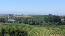 Napa and Sonoma Valley Wine 6 hour Tour from San Francisco