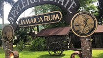 Appleton Estate Rum Tour