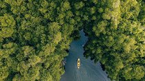 Madu River Sunrise Mangrove Kayaking