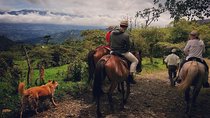 Queveri Horseback Riding Tours