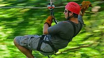 Zipline Canopy & Dunn's River Falls Tour with Admission from Grand Palladium