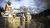 Dracula Castle Peles Castle. and Rasnov fortress in one day from Brasov