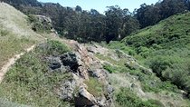 San Francisco's Glen Park and Glen Canyon: A Self-Guided Tour