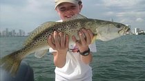 6-hour Miami Inshore Fishing trip
