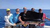 Key West Deep Sea Fishing: Big Fish
