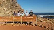 Small Group Cape Of Good Hope Penguins Wine Tasting Inc Park Fees