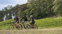 Hahndorf food and wine E-Bike Tour