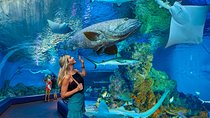 Cairns Aquarium Admission Ticket