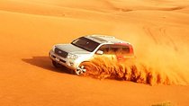 Red Dunes Safari with Camel Ride & VIP Buffet Dinner