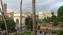 PRIVATE TOUR, with archaeologist: Colosseum, Palatine Hill, Roman Forum.