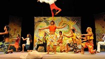 The Cambodian Circus Show and Pub Street Night Market