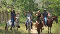 Eco-Tour on Horseback