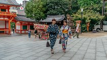 Treasures of Kyoto: Geishas & Traditions Private Tour