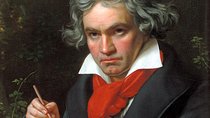 Private Tour of Beethoven's Vienna – Retracing Original Venues with an Expert