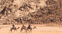 Wadi Rum: Camel Trek Adventure