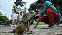 Private Guayaquil City Tour