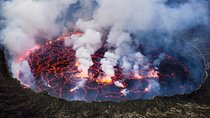 The Virunga Gorillas of Congo & The Nyiragongo Hike Tour (4 Days / 3 Nights)