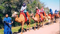 5 Valleys Atlas mountains day trip from Marrakech with camel ride