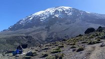 Kilimanjaro Rongai Route 5 Days Trekking