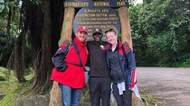 1 day tour hike mount kilimanjaro through marangu route