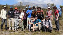 Kilimanjaro Lemosho Route 7 Days