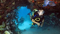 Discover Scuba Diving Course in Playa del Carmen with Two Coral Reef Dives