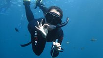 Snorkeling Trip Tulamben Bali