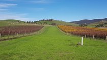 Private, Luxury and Tailored Yarra Valley Wine Tour