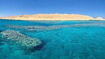 Giftun Islands Snorkeling from Hurghada