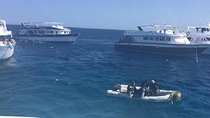 2 dives from a comfy boat for Certified Divers