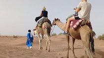 Private - Camel Ride Tour with Dune Bashing, BBQ Dinner and Belly Dance