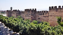 Excursion Taroudant & Palmeraie Tiout