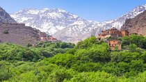Atlas Mountains Day Trip with Camel Ride & Visiting Berber villages