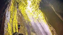 Ubud Swing, Rice Terrace and Waterfall Highlights Tour