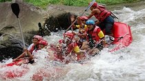 Bali Rafting and Ubud Tour
